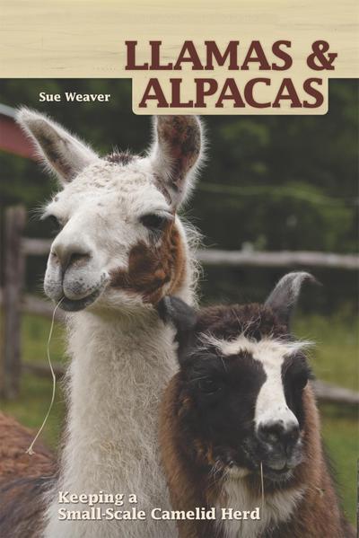 Llamas and Alpacas