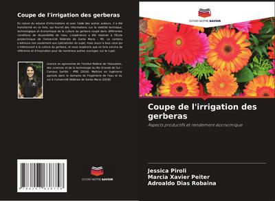 Coupe de l’irrigation des gerberas