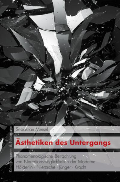 Ästhetiken des Untergangs 
