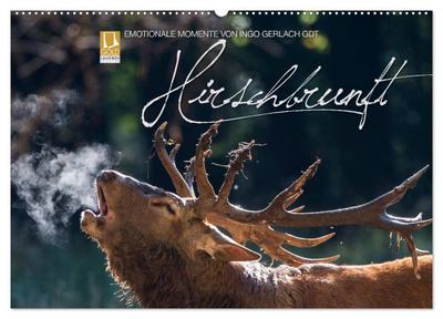 Emotionale Momente: Hirschbrunft (Wandkalender 2024 DIN A2 quer), CALVENDO Monatskalender