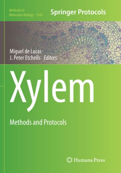 Xylem