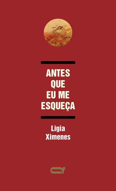 Antes que eu me esqueça