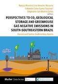 Perspectives to CO2 Geological Storage and Greenhouse Gas Negative Emissions in South-Southeastern Brazil