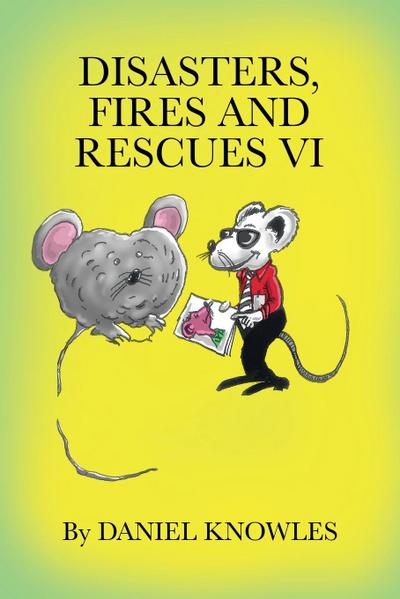 Disasters,Fires and Rescues Vi