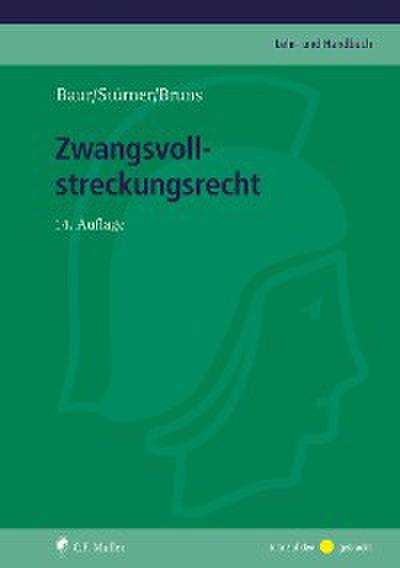 Zwangsvollstreckungsrecht, eBook