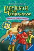 Labyrinth der Geheimnisse, Band 7 - Wirbelsturm über Witterstein