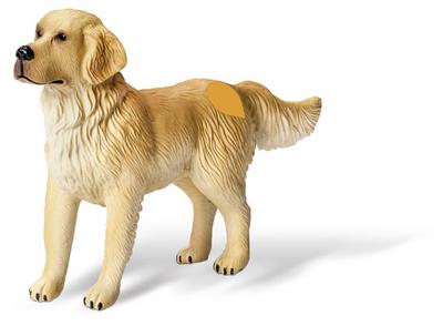 tiptoi® Golden-Retriever-Rüde