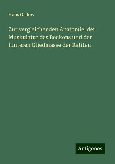Gadow, H: Zur vergleichenden Anatomie: der Muskulatur des Be