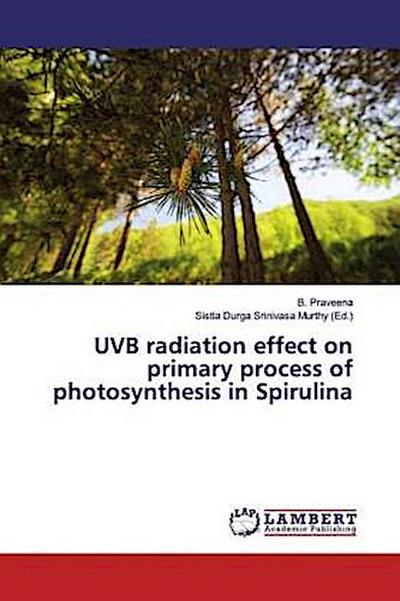 UVB radiation effect on primary process of photosynthesis in Spirulina