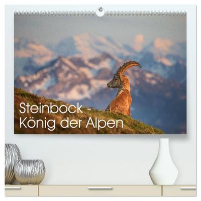 Steinbock - König der Alpen (hochwertiger Premium Wandkalender 2026 DIN A2 quer), Kunstdruck in Hochglanz