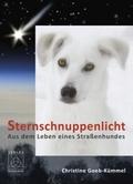 Sternschnuppenlicht