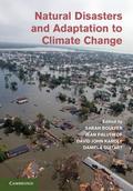 Natural Disasters and Adaptation to Climate             Change