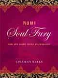Rumi: Soul Fury