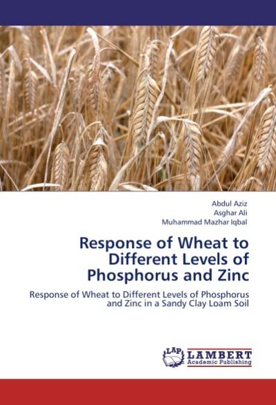 Response of Wheat to Different Levels of Phosphorus and Zinc