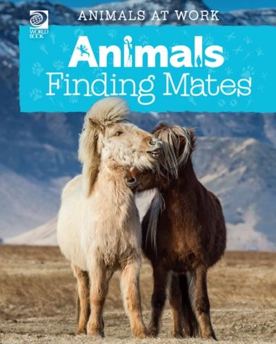 Animals Finding Mates
