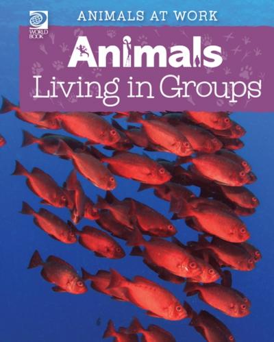 Animals Living in Groups