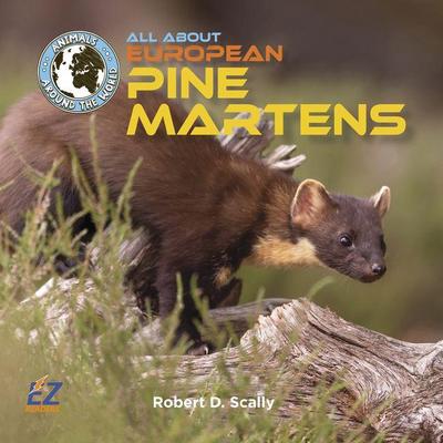 All about European Pine Martens