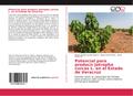Potencial para producir Jatropha curcas L.en el Es