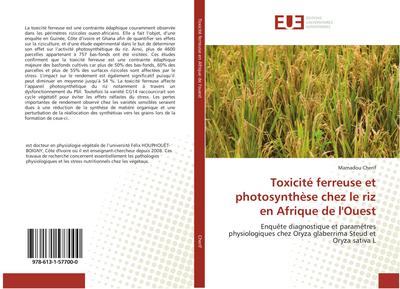 Toxicité ferreuse et photosynthèse chez le riz en Afrique de l’Ouest