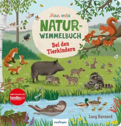 Mein erstes Natur-Wimmelbuch: Bei den Tierkindern