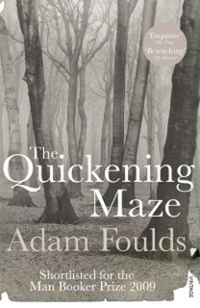 Quickening Maze