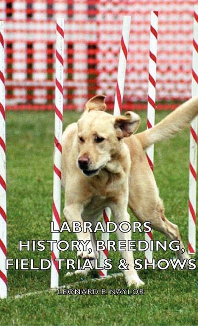 Labradors - History, Breeding, Field Trials & Shows