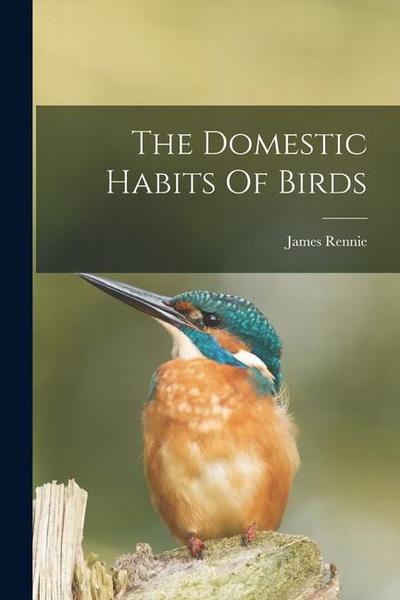 The Domestic Habits Of Birds