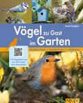 Vögel zu Gast im Garten