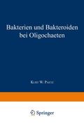 Bakterien und Bakteroiden bei Oligochaeten