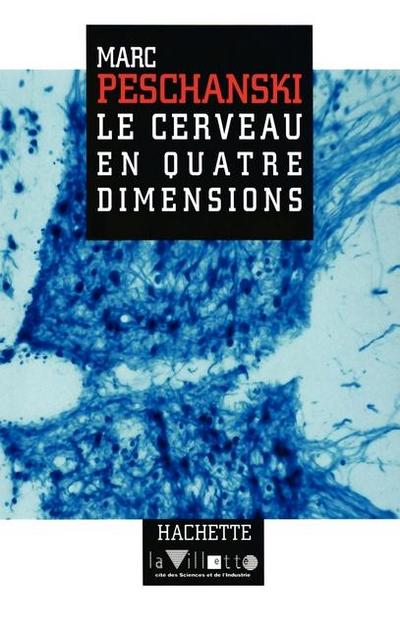 Le cerveau en quatre dimensions