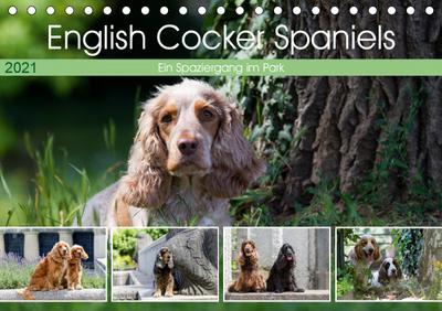 English Cocker Spaniels - Ein Spaziergang im Park (Tischkalender 2021 DIN A5 quer)