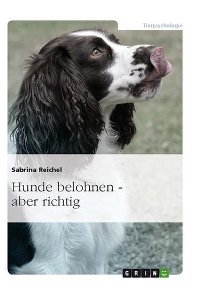 Hunde belohnen – aber richtig