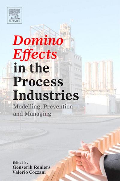 Domino Effects in the Process Industries