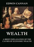 Wealth: A Brief Explanation of the Causes of Economic Wealth