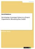 Developing a Learning Culture in a Project Organis