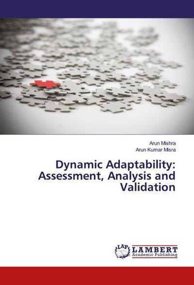 Dynamic Adaptability: Assessment, Analysis and Validation