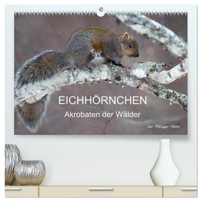 EICHHÖRNCHEN (hochwertiger Premium Wandkalender 2026 DIN A2 quer), Kunstdruck in Hochglanz
