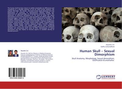 Human Skull - Sexual Dimorphism