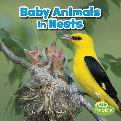 Baby Animals in Nests