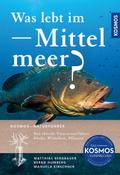 Was lebt im Mittelmeer?