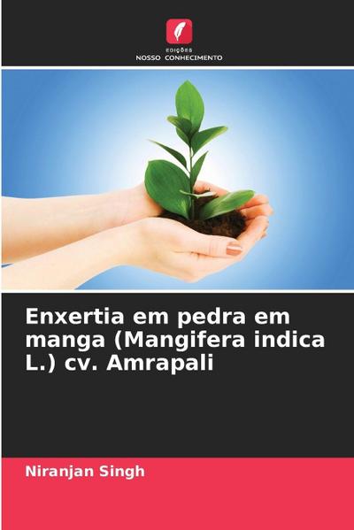 Enxertia em pedra em manga (Mangifera indica L.) cv. Amrapali