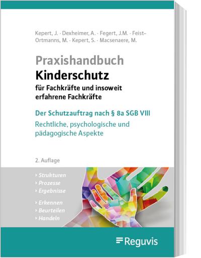 Praxishandbuch Kinderschutz für Fachkräfte und insoweit erfahrene Fachkräfte