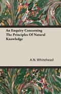 An Enquiry Concerning the Principles of Natural Knowledge