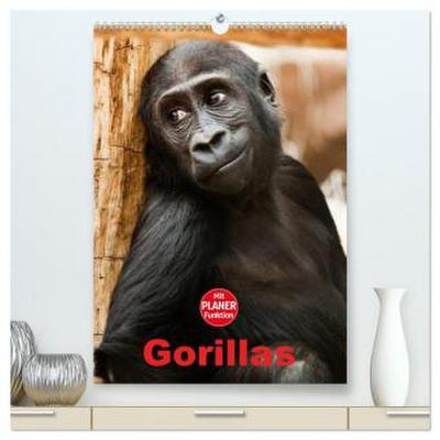 Gorillas (hochwertiger Premium Wandkalender 2026 DIN A2 hoch), Kunstdruck in Hochglanz