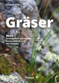 Gräser 1: Sauergräser und Binsen