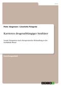 Karrieren drogenabhängiger Straftäter