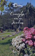 Caminho entre jardins
