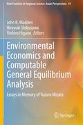 Environmental Economics and Computable General Equ