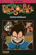 Dragon Ball 20