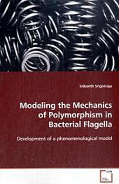 Modeling the Mechanics of Polymorphism in Bacterial Flagella